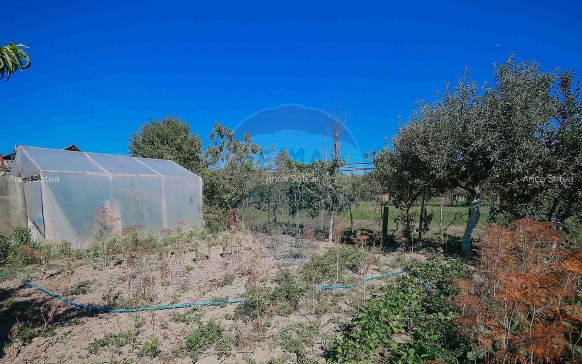 Casa ?i teren de 1397 mp de vanzare in Ineu, la 18 km... - 10