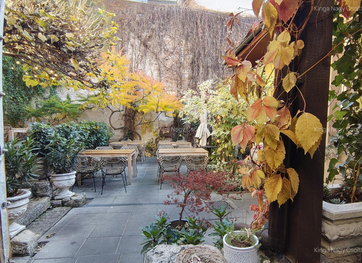 DE VÂNZARE – Spațiu de alimentație publică 53mp+111mp teren - 10