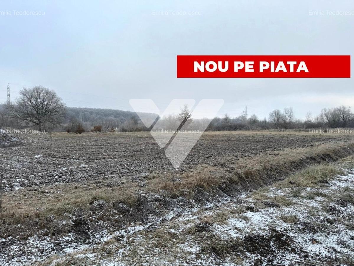 Teren Construcții intravilan de 750 mp, în Șelimbăr - 1