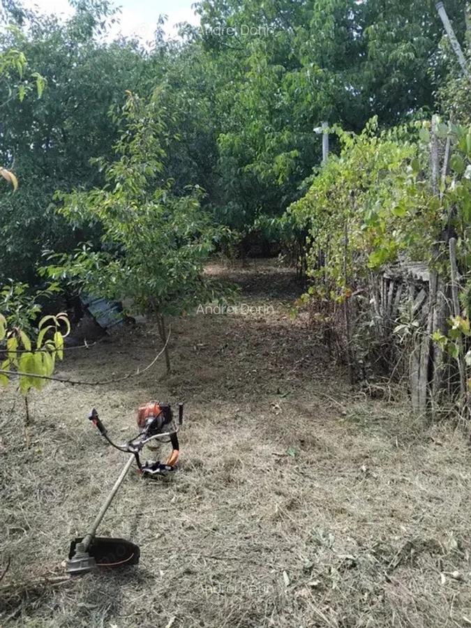 Casa caramida si Teren 1770mp Vanju Mare la DN56A - 4