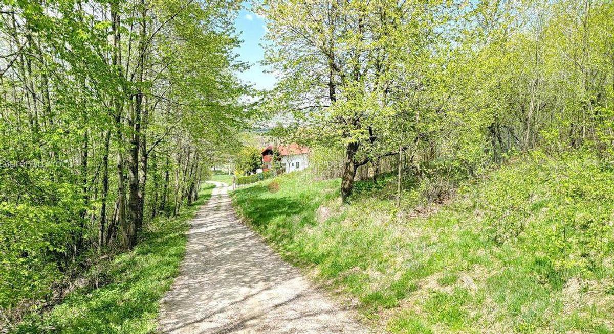Teren intravilan Bran- Predelut - 6