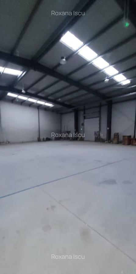 Spațiu industrial de închiriat – 760 mp – Mogosoaia, Promax Industrial Park - 6