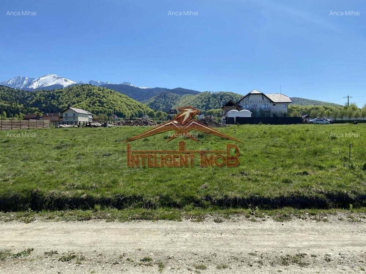 Teren Intravilan/imprejmuit in Sambata de Sus- Judet Brasov - 3