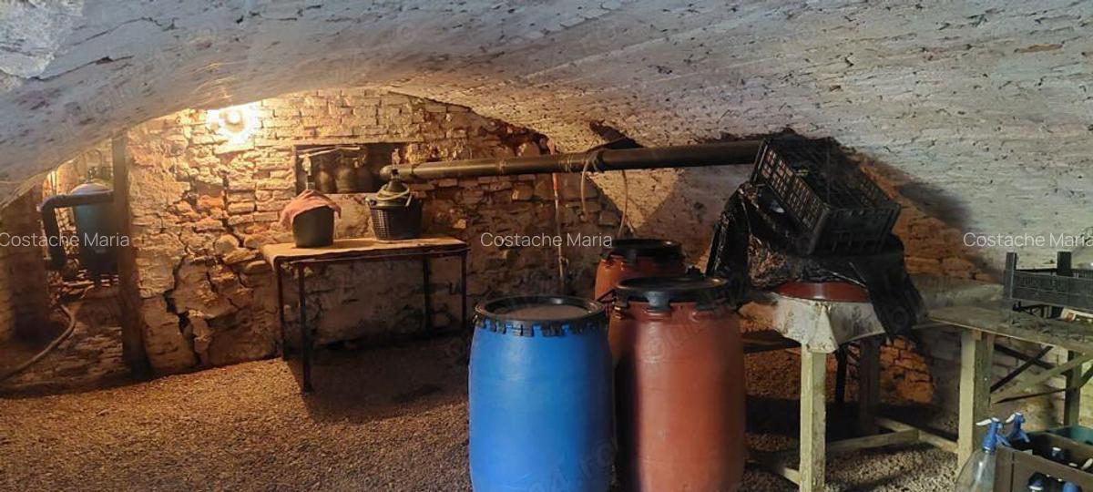 Casa solida saseasca + 2500mp teren, Bod - 9