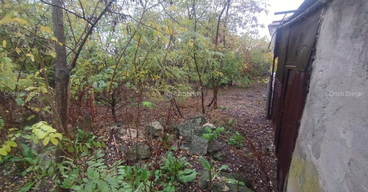 Teren liber pentru casa/case in centru, Ovidiu - 2