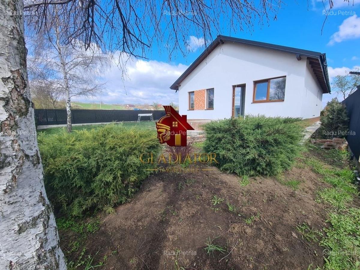 Casa plan parter deosebita, Lunca Cetatuii Ciurea, la asfalt, zona vis - 12