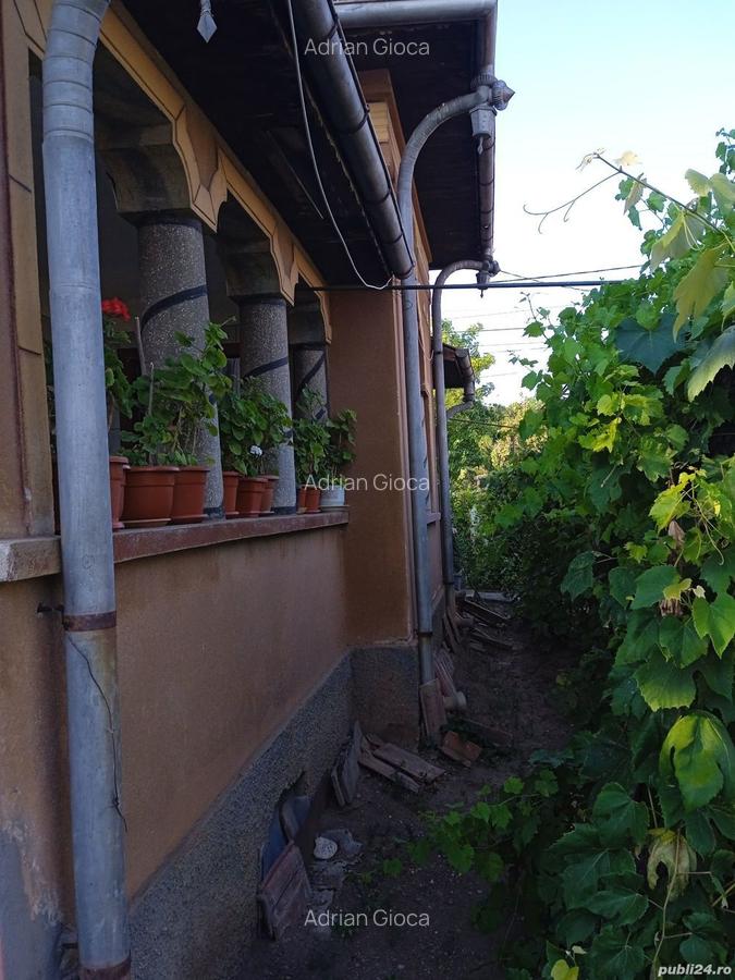 Casa comuna Giubega 45km craiova - 10