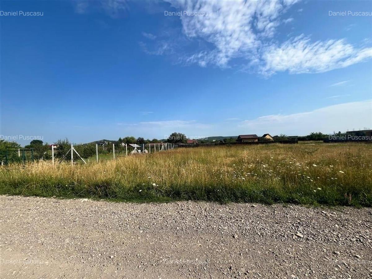 TEREN INTRAVILAN, HARMAN - 3