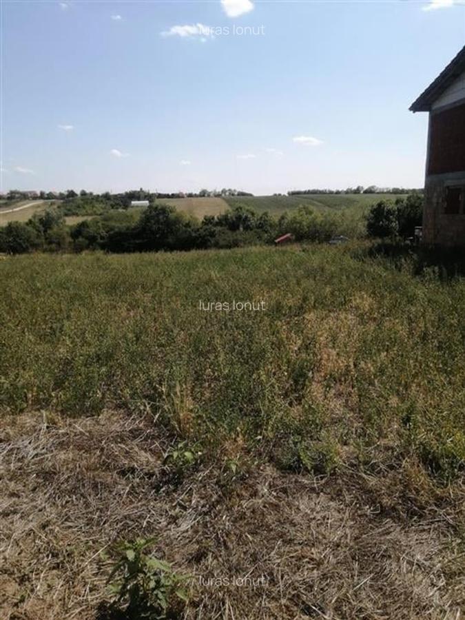 RECO, Teren intravilan, loc de casa in Pausa, Nojorid - 3