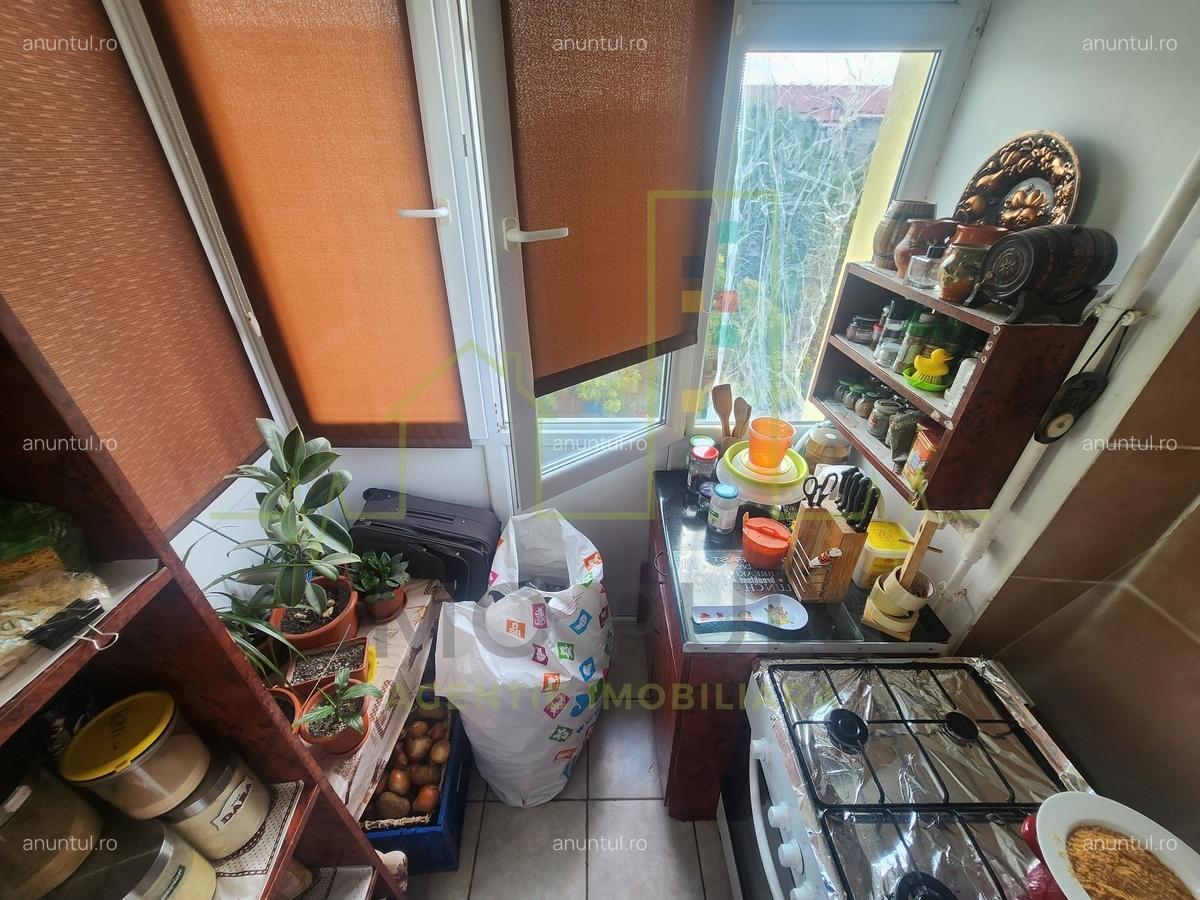 Timisoara Apartament cu 3 camere. Decomandat. Lipovei. Bloc izolat - 10