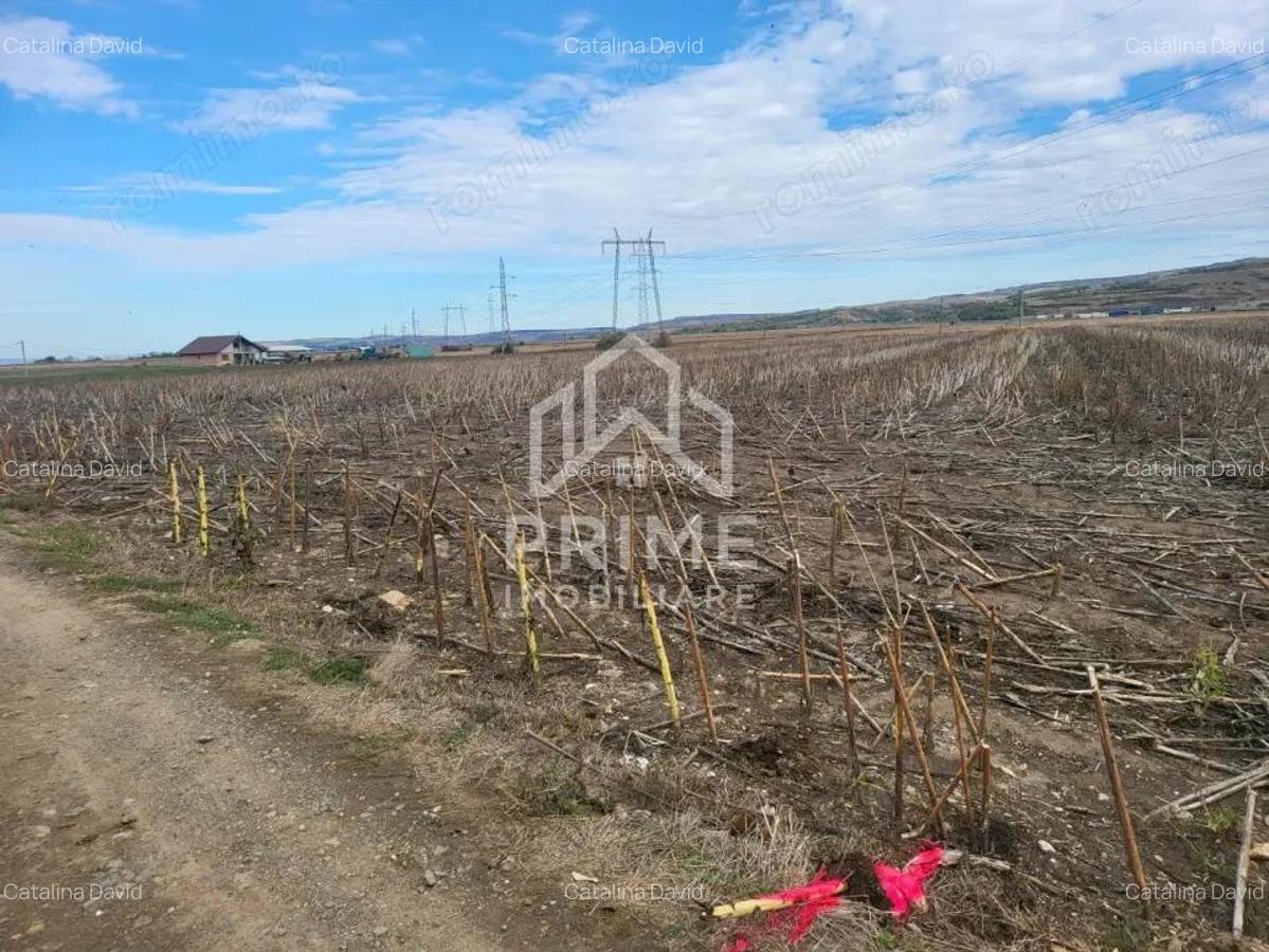 Teren de vanzare in Oarda de Jos , 8300 mp din care 2700 mp intravilan - 3