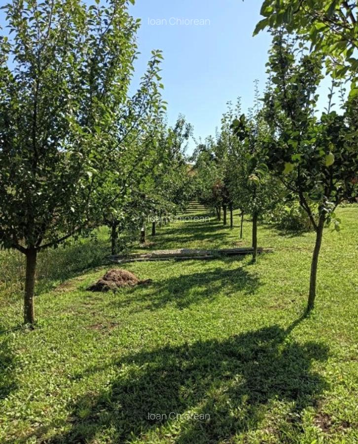 Casa de vacan?a in Ludu?, zona Candarai intre Cluj ?i Tg-Mure? - 3