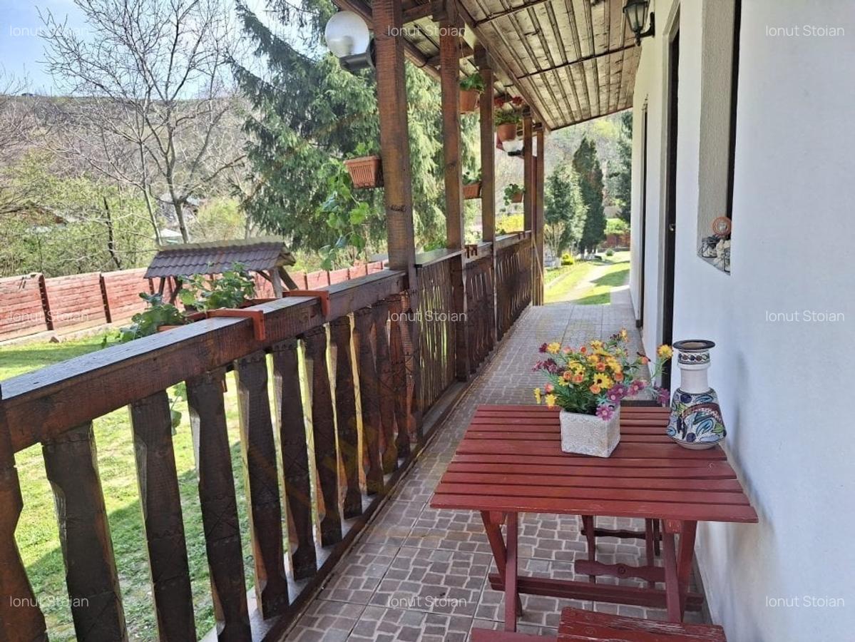 Casa de Vacanta - Un Colt de Rai , Stefanesti-Arges - 3