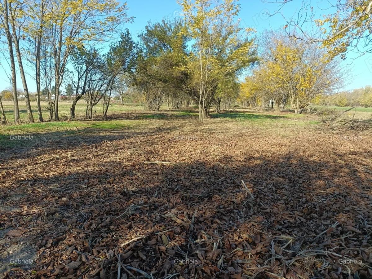 Oaza de liniste: Proprietate generoasa cu poten?ial de Investi?ie Locuin?a - 7