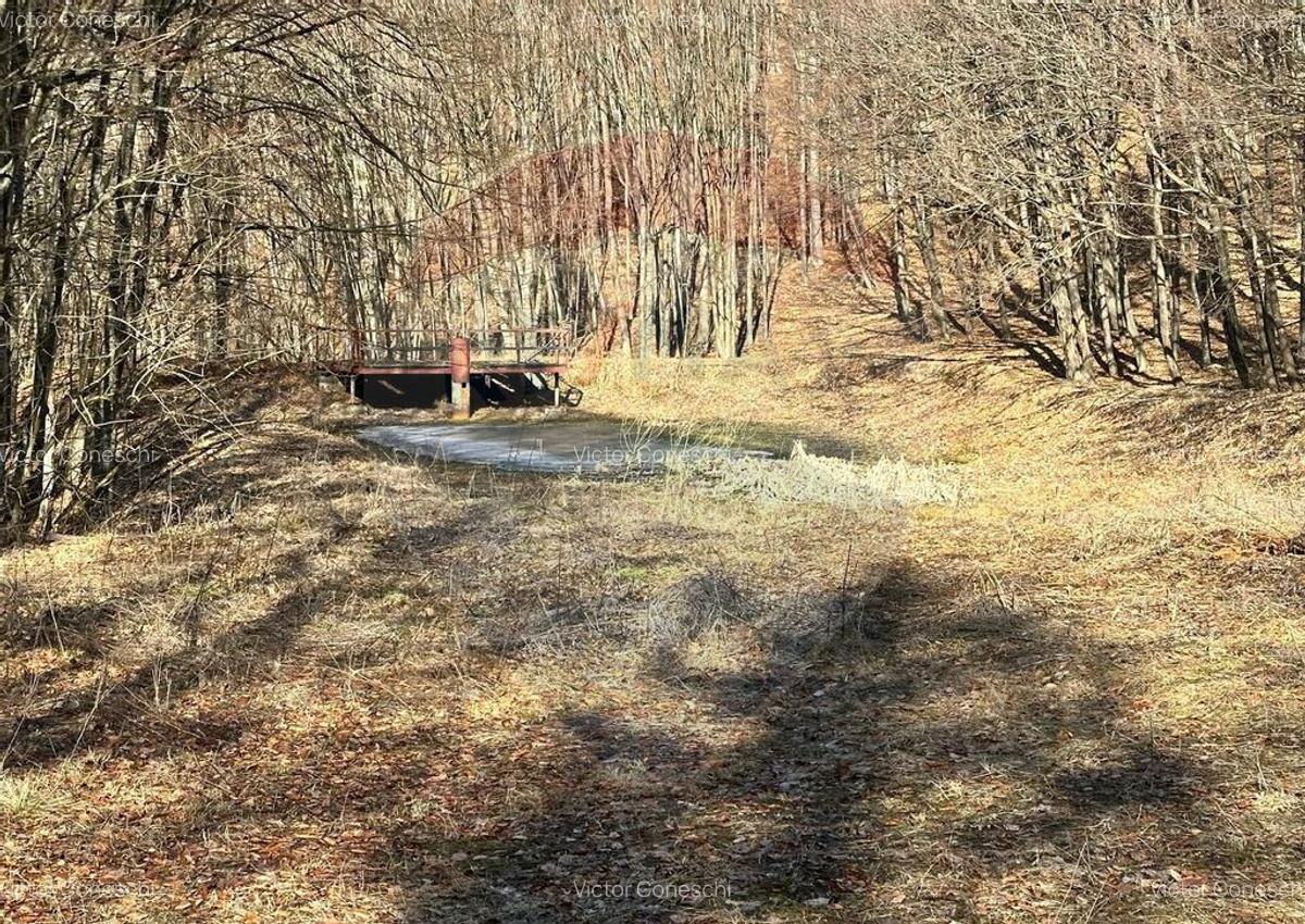 Teren de vanzare 53,723mp Codlea / Nord-Vest - 21