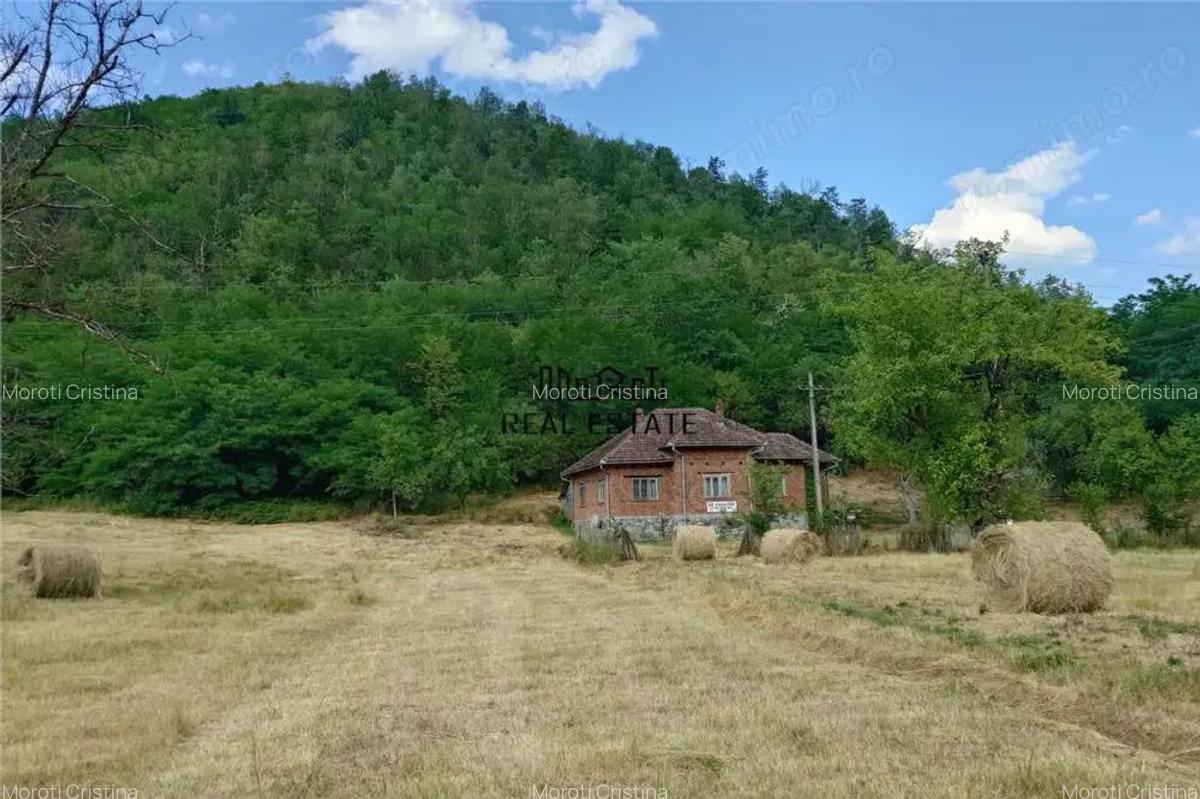Teren, padure si casa in Dumbrava de Jos, jud. Hunedoara - 2