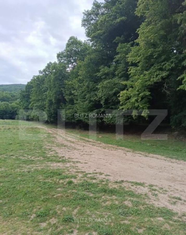 Teren pentru cabana /pensiune locatia perfecta pentru relaxa - 1