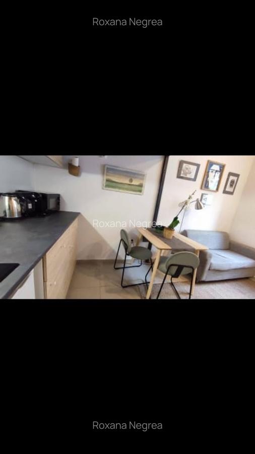 Apartament tip studio,in zona ultracentrala - 7