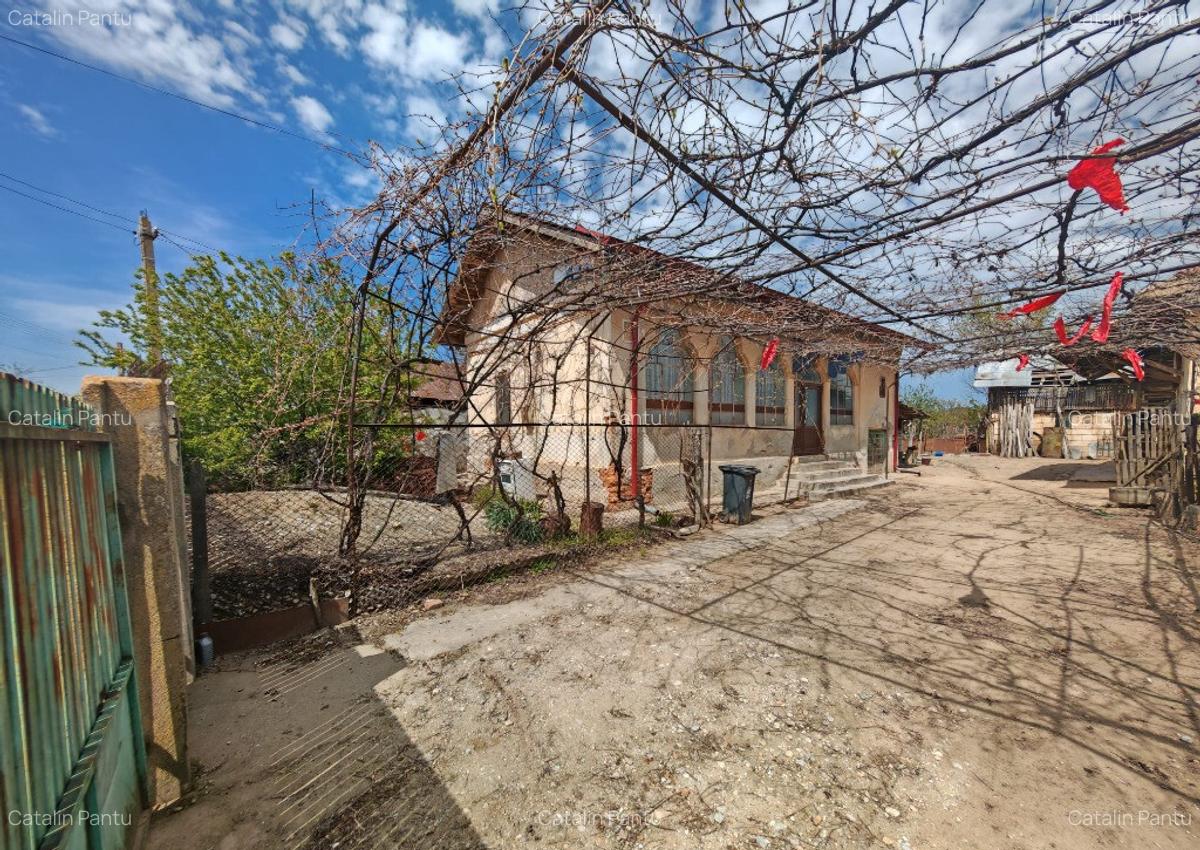 Casa Batraneasca 1500m2 Castranova, Dolj - 3