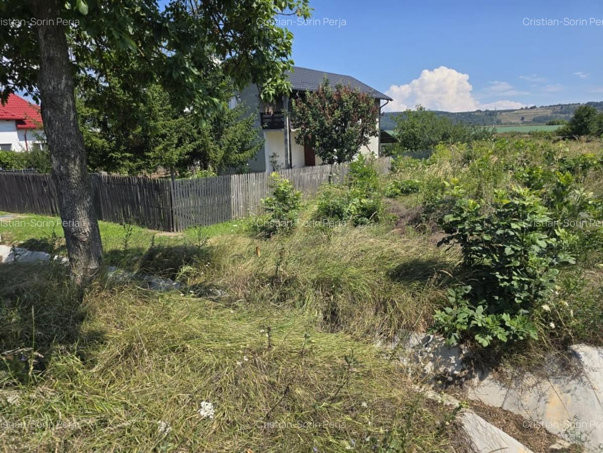 Teren intravilan,  stradal, industrial, Dobrogostea - 1388 mp - 2