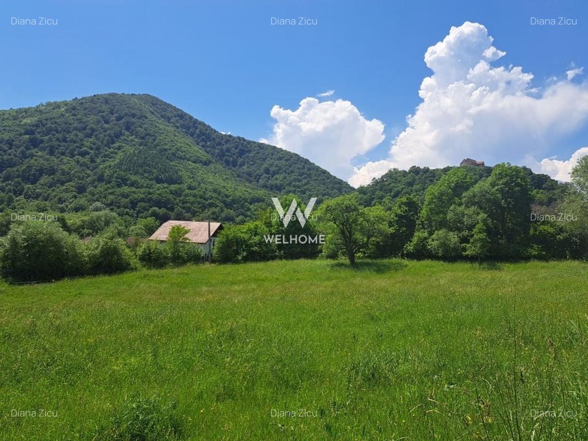 Casa Sibiu, Cisnadioara - teren 770 mp - 3