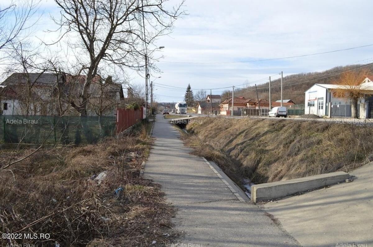 Valea Ursului - DN 7, Teren Stradal 2744 mp! - 4