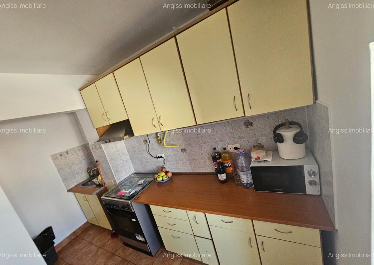 APARTAMENT DE INCHIRIAT STR PODGORIILOR - 3