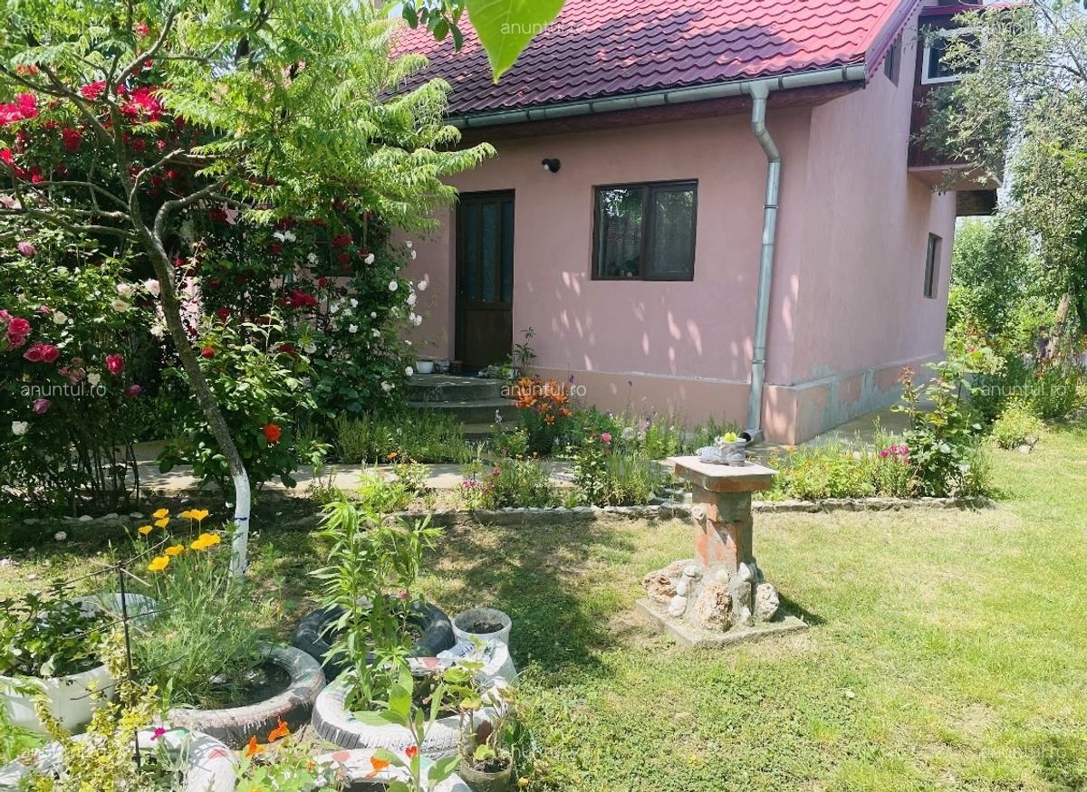 Comuna Marzanesti, sat Valea Parului, str Lalelelor, Teleorman - 9