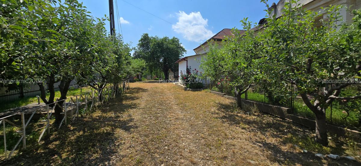 Casa boiereasca de vanzare Varsatura - 4