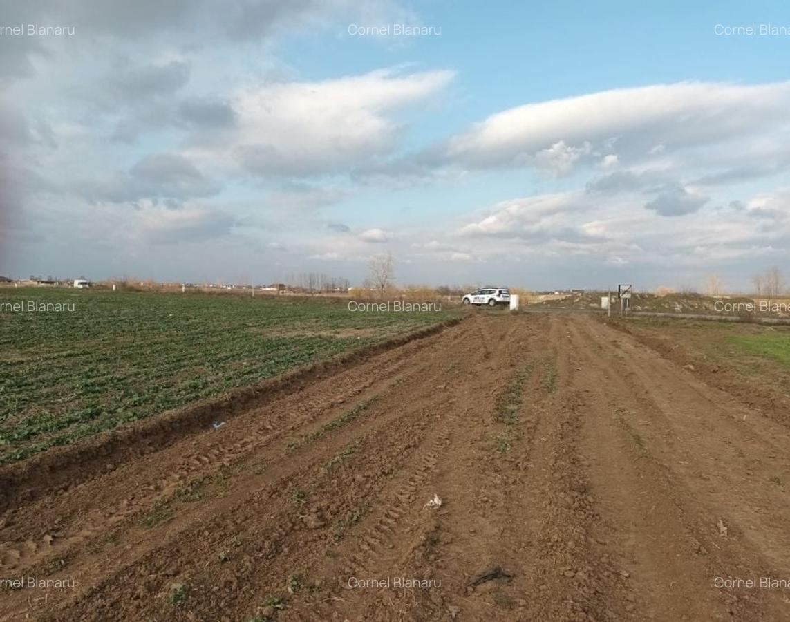 Teren 500 mp - Avans 20% - Rate la Dezvoltator - Vidra - 5