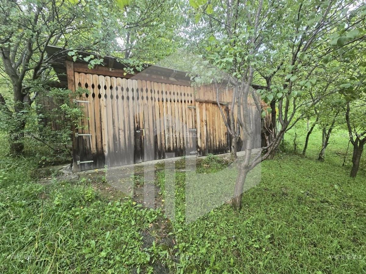 Casa individuala 4 camere teren 3825 mp Cisnadioara - 28