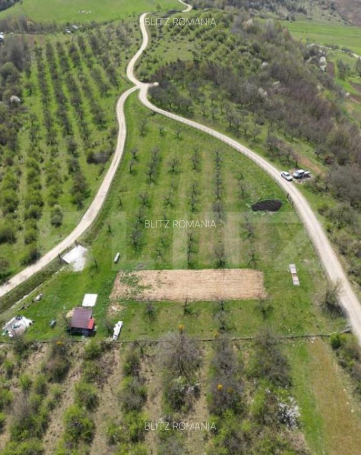 Teren extravilan de vanzare, 4.854 mp, zona nord-vest - 2