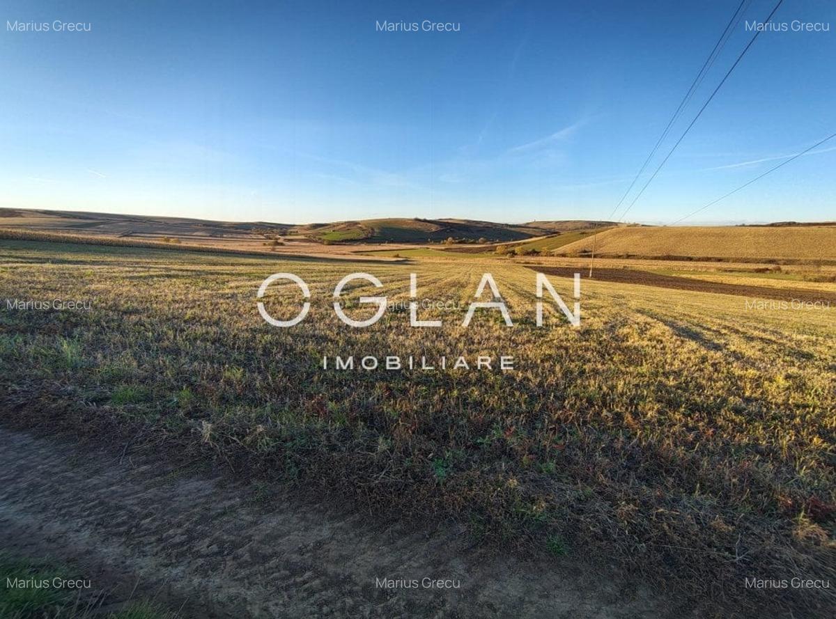 Teren intravilan cu PUZ pentru investitie - 26.100 mp - Sura Mare - 5