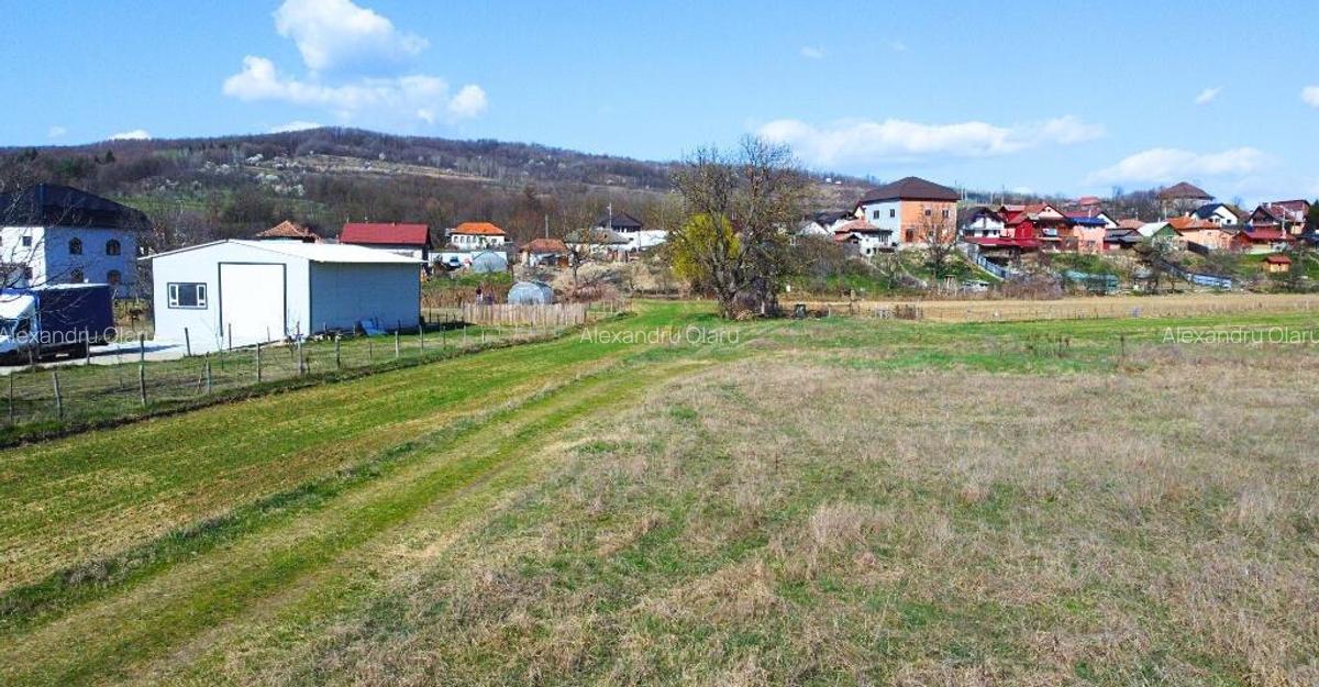 BUDESTI - TEREN 2550 MP - 9