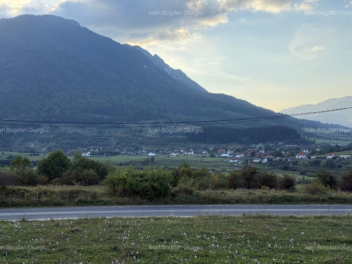 Teren intravilan 500 sau 1000 mp Bran-Tohanita la dum asfaltat - 4