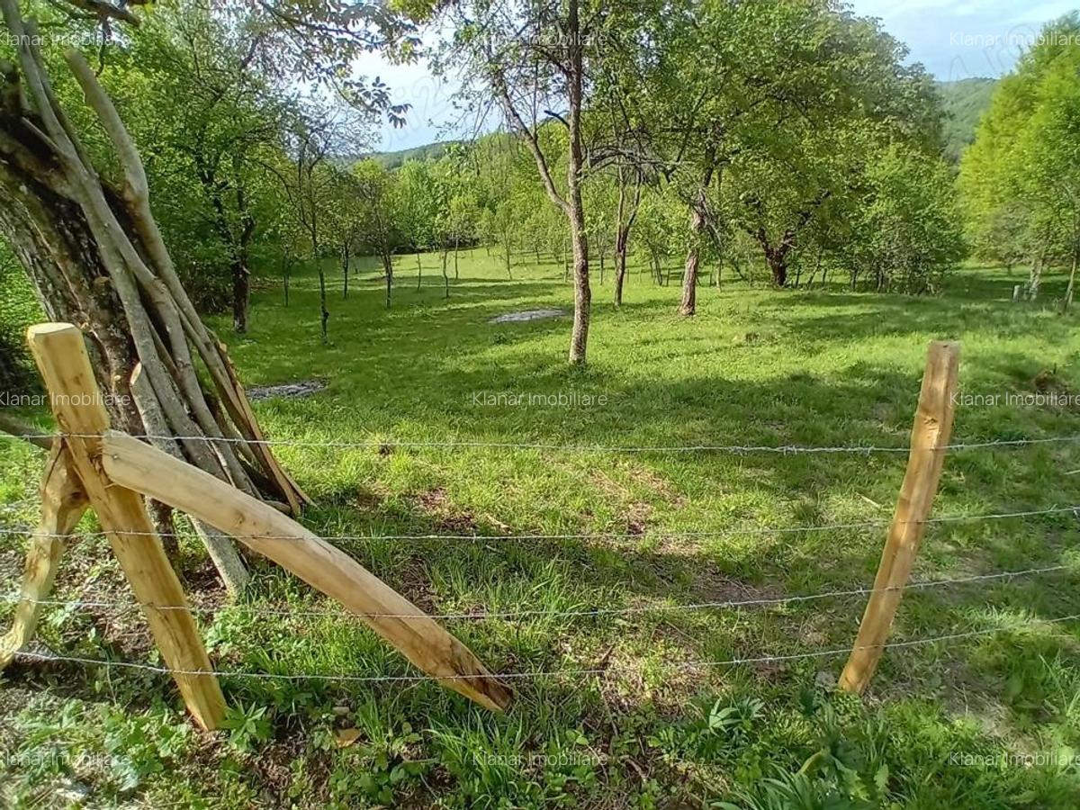 Teren de vanzare in Bradulet Arges - 2