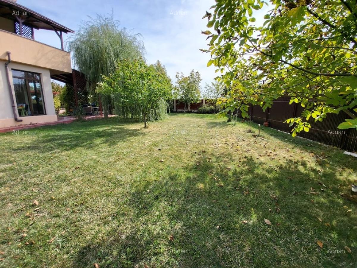 Casa 4 camera 180mp utili si 800mp de teren - 5