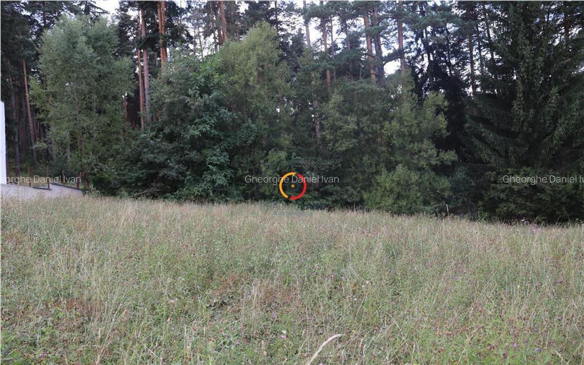 Teren intravilan cu PUZ si PUD 2 loturi - 8