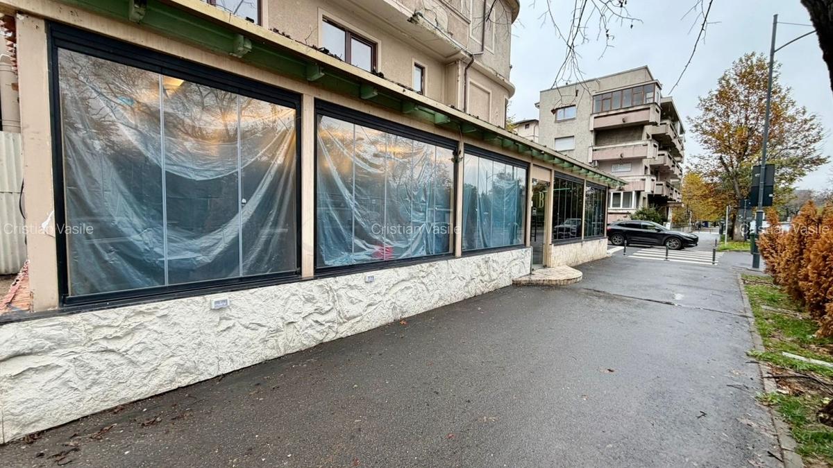REC3001622 Spatiu comercial I Restaurant I Bistro I Beller - Dorobanti - 22