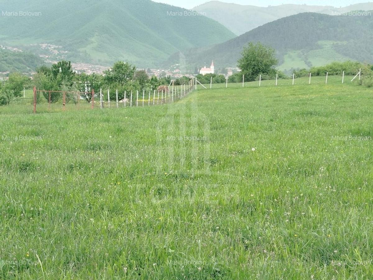 Teren de vinzare in Tropini Vechi - 2