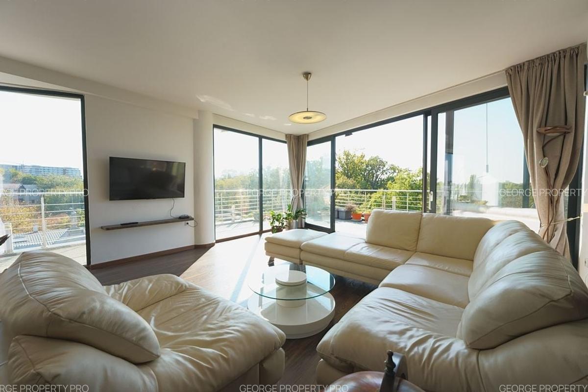 Panoramic View to Herastrau Lake, 5 rooms apartment - 14