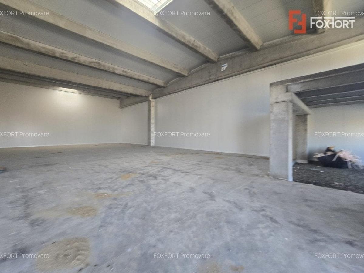 COMISION 0% Spatiu de depozitare 524 mp - Sanandrei - 3