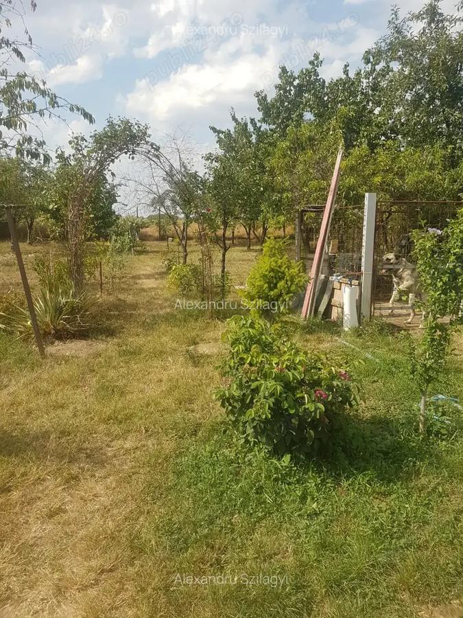Casa de vinzare Pecica - 3