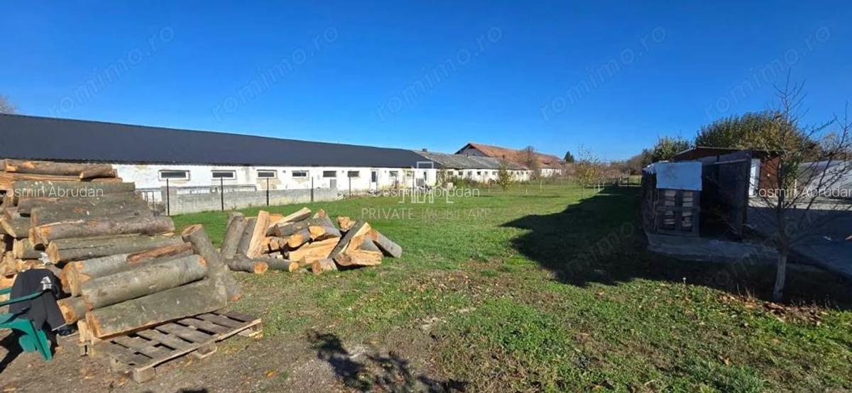 Teren de vanzare, Albesti, Sighisoara - 1
