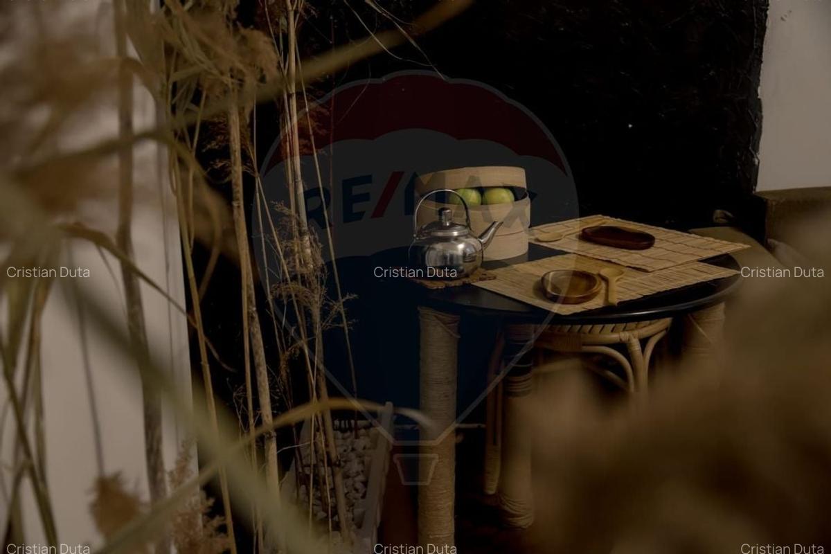 Apartament cu 2 camere de inchiriat in zona Ferdinand - 3