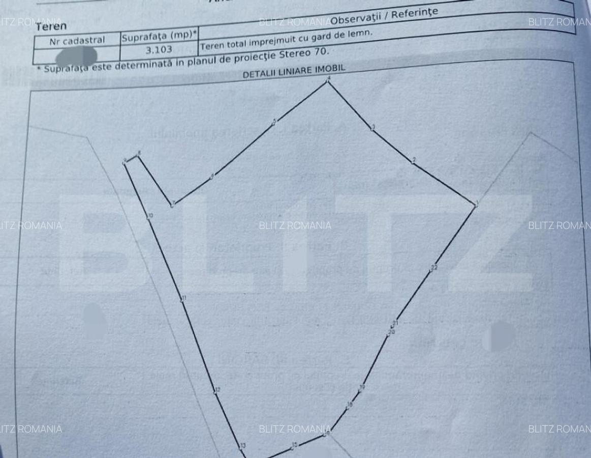Teren parcelabil, front la strada, 3103mp, utilitati, Marise - 4