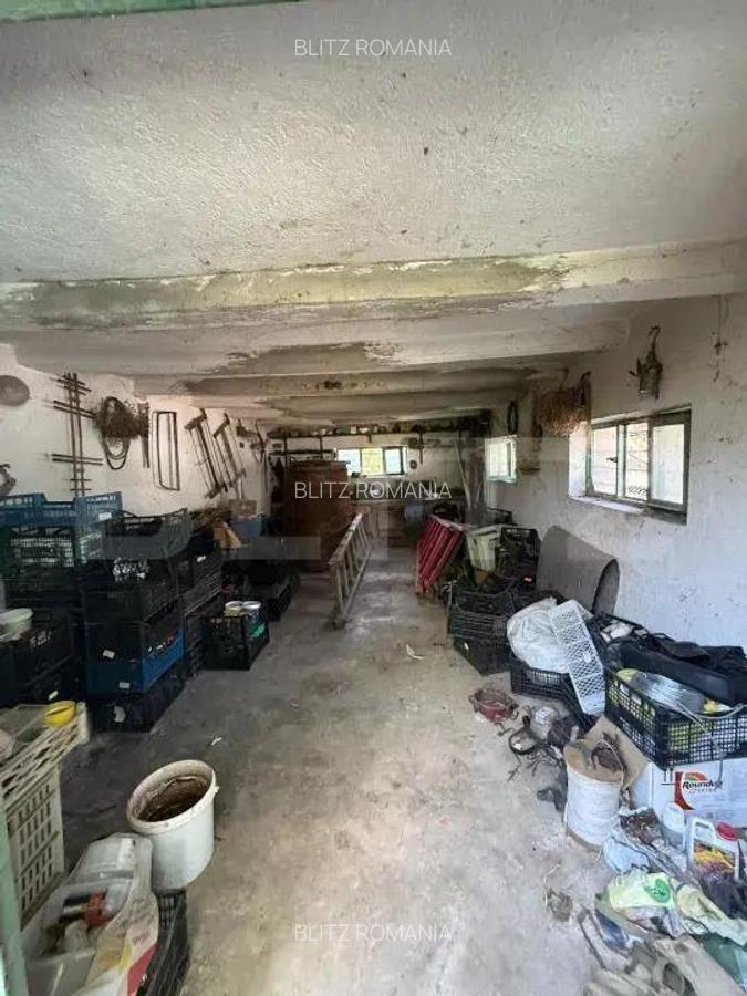 Casa batraneasca, renovabila, Comuna Danesti, Sat Vacarea, 2570 mp, front 25 ml - 13