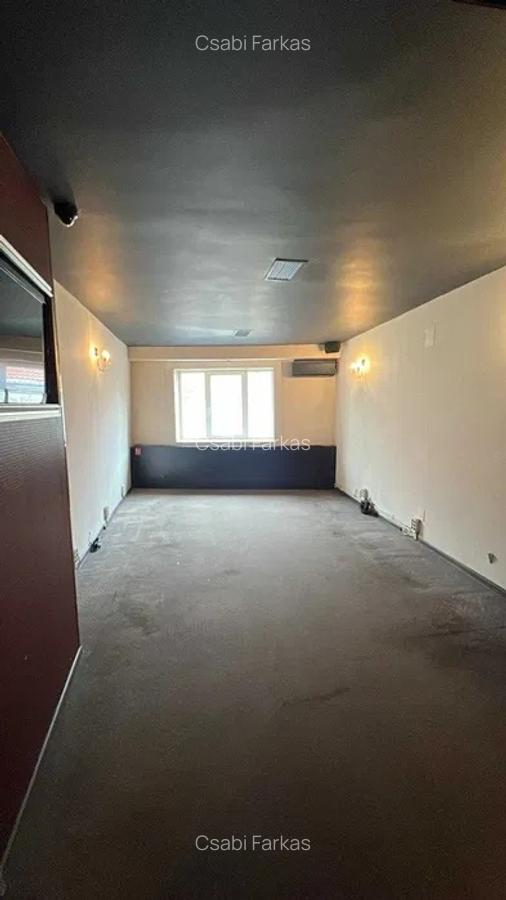 Spatiu Comercial, strada Piezisa - 3