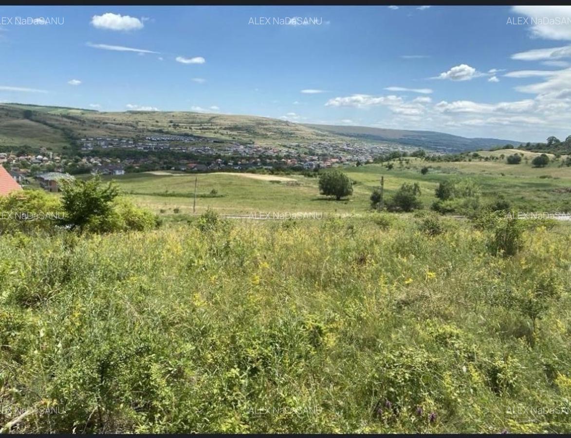 Vanzare teren intravilan, 700 mp., Chinteni - 4