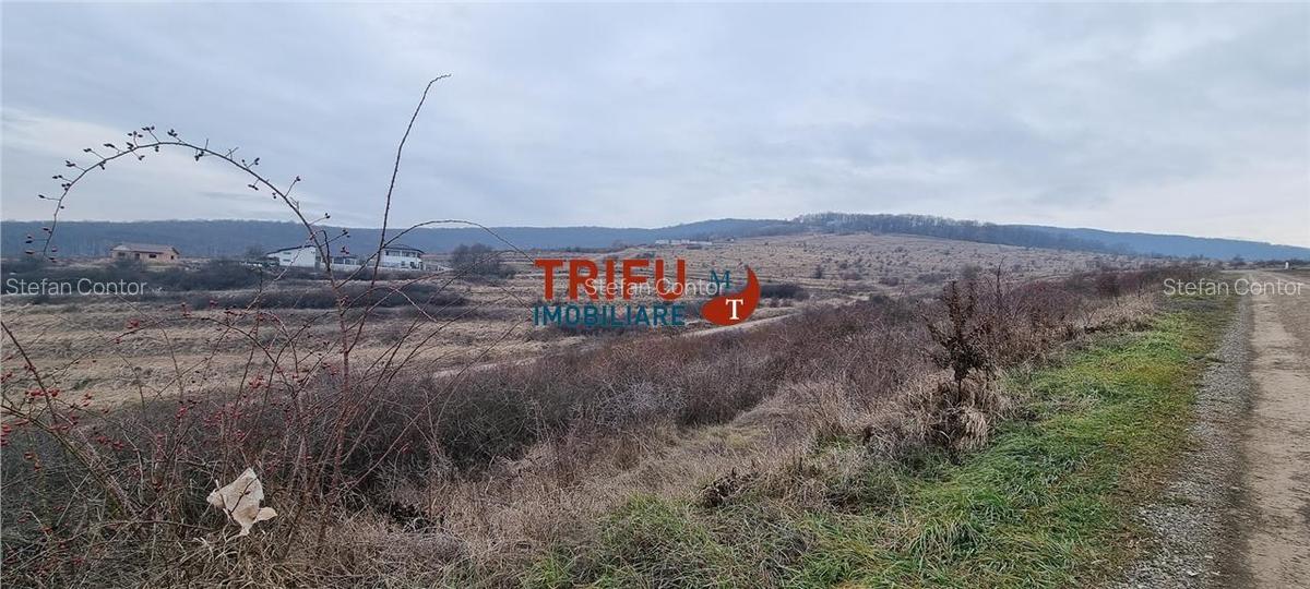 Teren intravilan 762 mp de vanzare  zona Podei - 2 Teren intravilan 762 mp de vanzare  zona Podei - 2